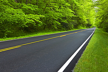 A scenic and empty road