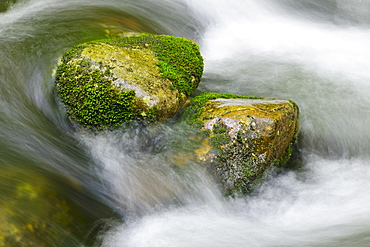 Flowing creek