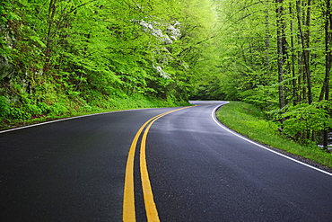 A scenic and empty road