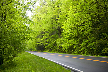 A scenic and empty road