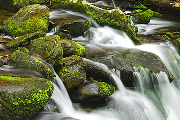 Flowing creek