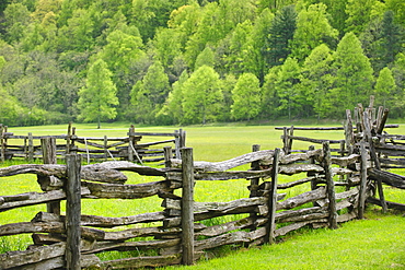 A fence in Smoky Mountain National Park