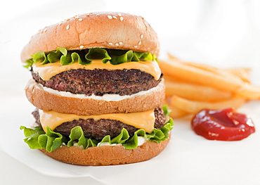 Studio shot of hamburger