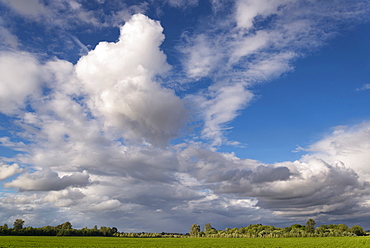 Moody sky above green meadow, Marion County, Oregon