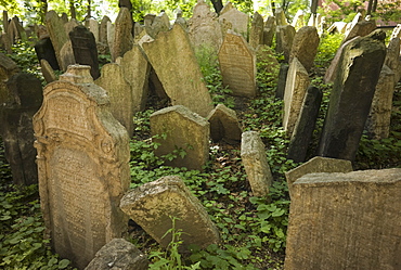 Gravestones in cemetery