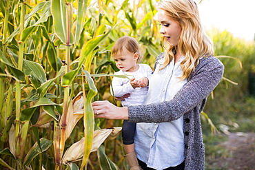 Mother and daughter (12-17 months) in corn field, Salt Lake City, Utah