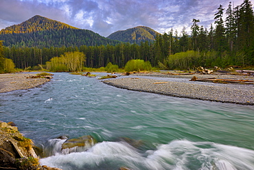 USA, Washington, Olympic National Park, Landscape with mountain and river, USA, Washington, Olympic National Park