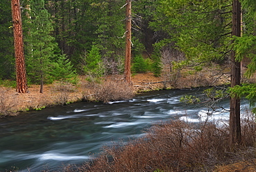 USA, Oregon, Deschutes County, River view, USA, Oregon, Deschutes County