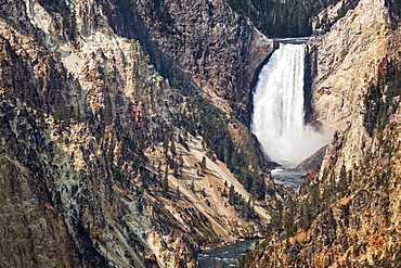 Lower Falls of the Yellowstone, Yellowstone National Park, Wyoming