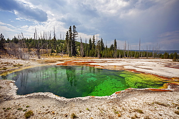 West Thumb Geyser Basin, West Thumb Geyser Basin, Yellowstone National Park, Wyoming