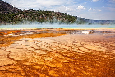 Midway Geyser Basin Grand Prismatic Spring, Grand Prismatic Spring, Midway Geyser Basin, Yellowstone National Park, Wyoming