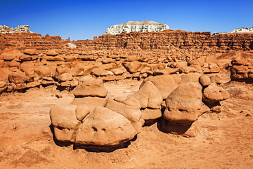 Hoodo rocks, USA, Utah, Goblin Valley State Park