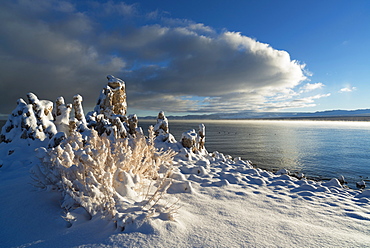 Mono Lake, idyllic scene, USA, California, Mono Lake