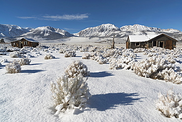 Mono Lake, View at old homestead, USA, California