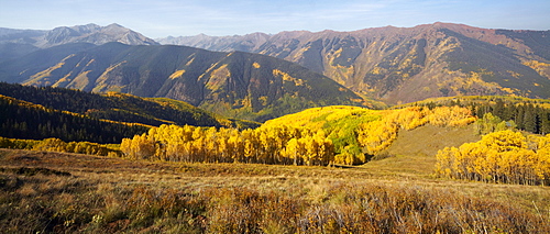 Mountain landscape with yellow aspen trees, Colorado, United States