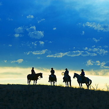 Horseback riders