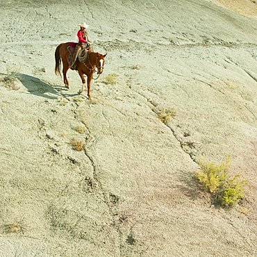 Horseback rider