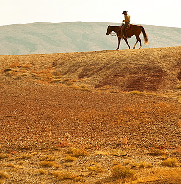 Horseback rider