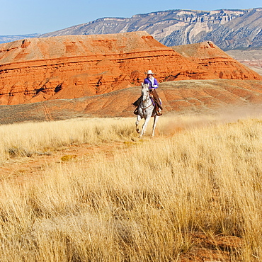 Horseback rider