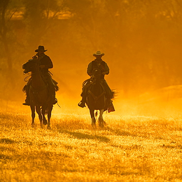 Horseback riders