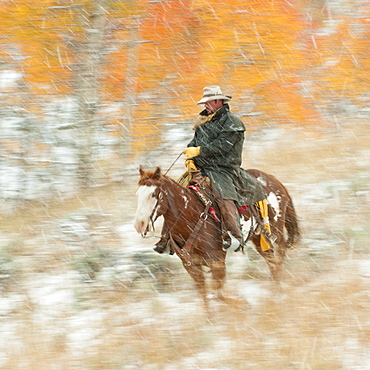 Horseback rider in rain