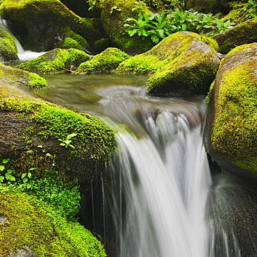 Flowing creek