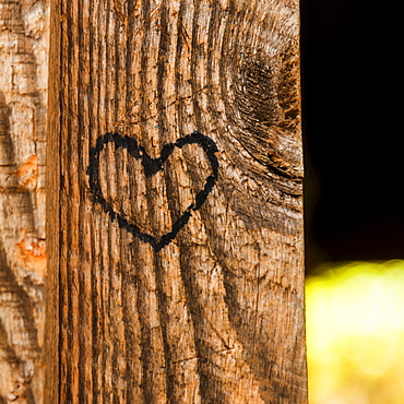 Heart shape carved into plank