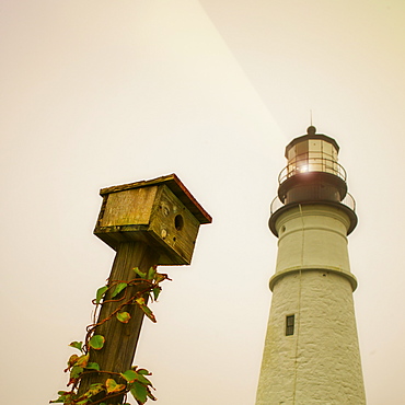 Portland Head Light and birdhouse, Portland, Maine