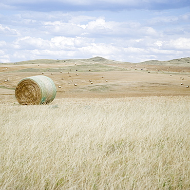 Hay bales southern Montana USA