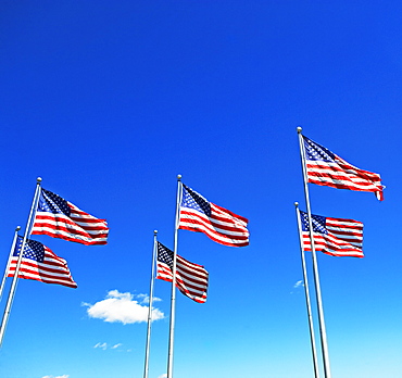 American flags