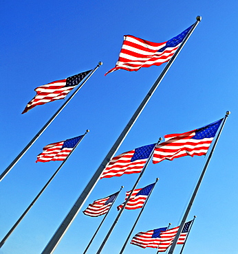 American flags