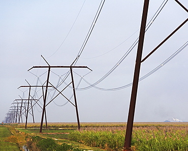 electric poles