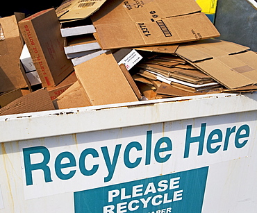 Recycling dumpster filled with cardboard