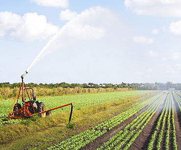 Tractor watering field, Florida, United States