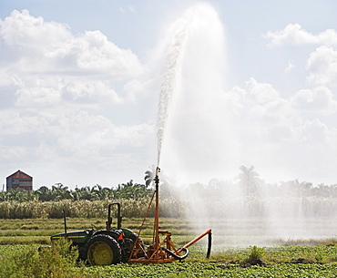 Tractor watering field, Florida, United States