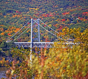 USA, New York, Bear Mountain, bridge in forest