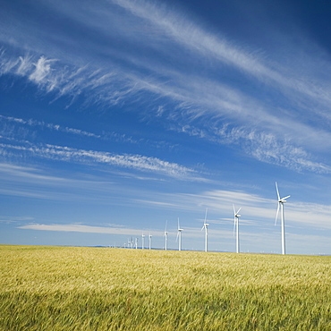 Windmills in a row on wind farm