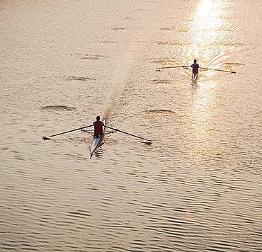 High angle view of people sculling