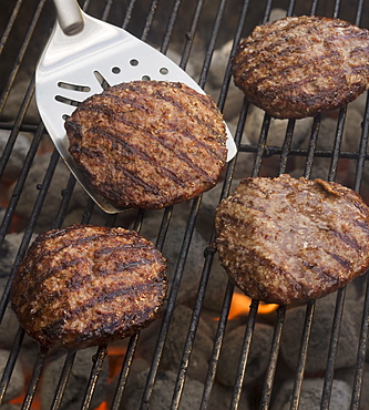 Hamburgers cooking on grill