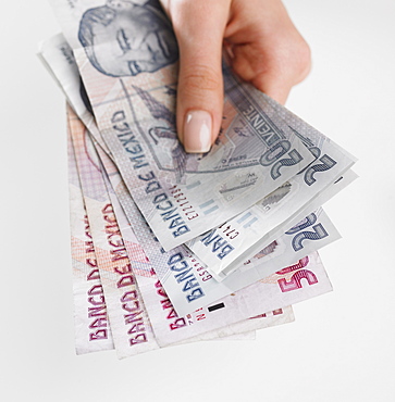 Close up studio shot of woman's hand holding Mexican money