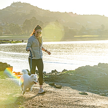 USA, California, San Francisco, Woman with Samoyed puppy running on beach