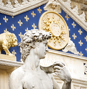 Michelangelo's David in Italian Piazza