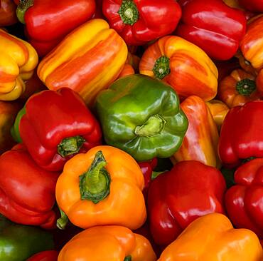 Overhead view of bell peppers