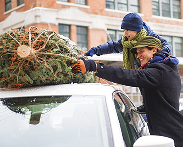 Man with kid (6-7) bonding Christmas tree, Jersey City, New Jersey, USA