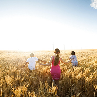 Girls (10-11, 12-13) and boy (8-9) walking though wheat field