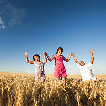 Girls (10-11, 12-13) and boy (8-9) walking though wheat field