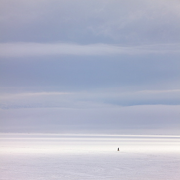 Snow covered field