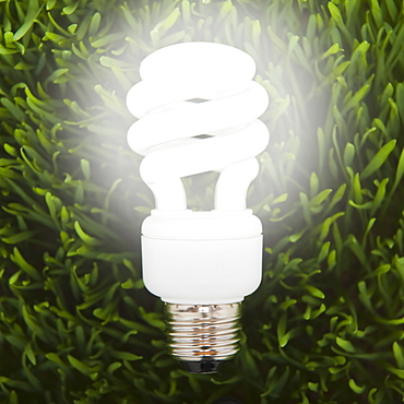 Fluorescent light bulb in grass