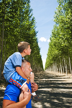 Father showing son (8-9) poplar trees in tree farm