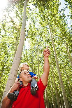 USA, Oregon, Boardman, Father showing son (8-9) poplar trees in tree farm